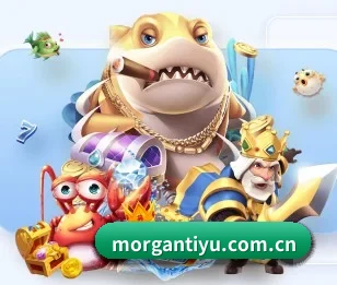 关于我们 - 体育资讯内容服务 | MorganSport